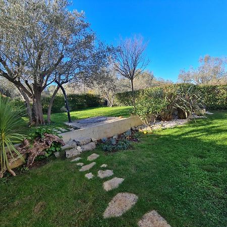 Villa Tea Zadar Bagian luar foto