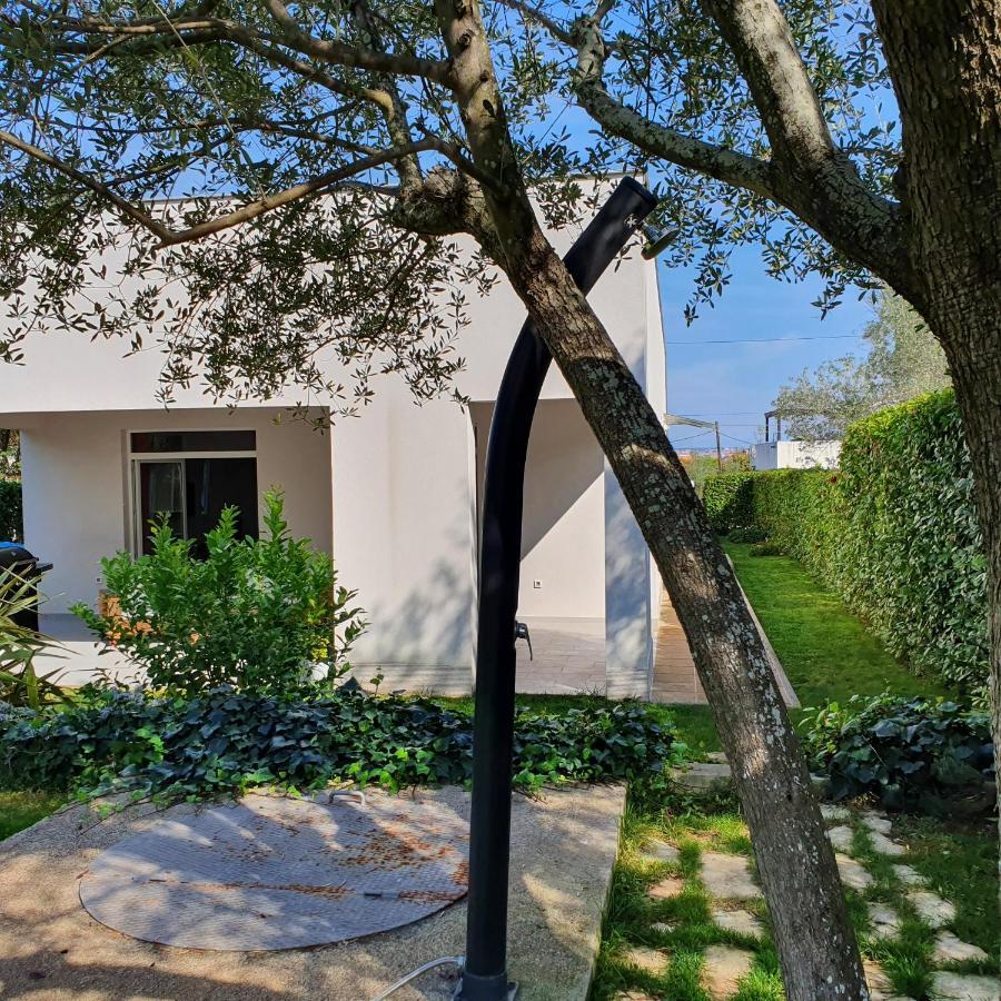 Villa Tea Zadar Bagian luar foto