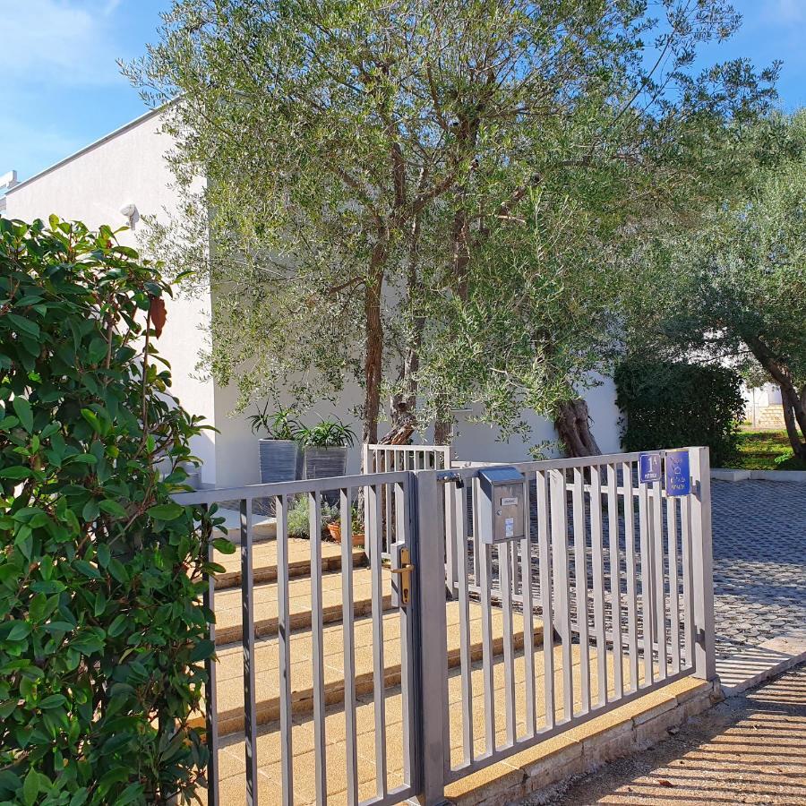 Villa Tea Zadar Bagian luar foto